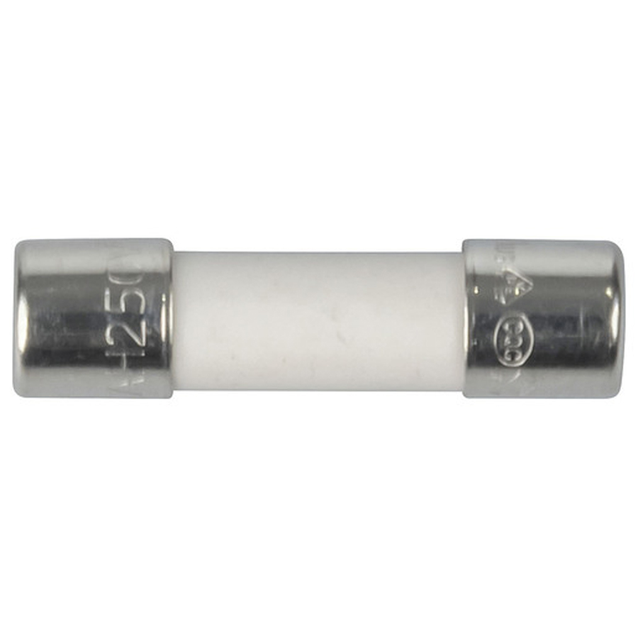 Ceramic Fuse 5x20mm 10A - Fast Blow 